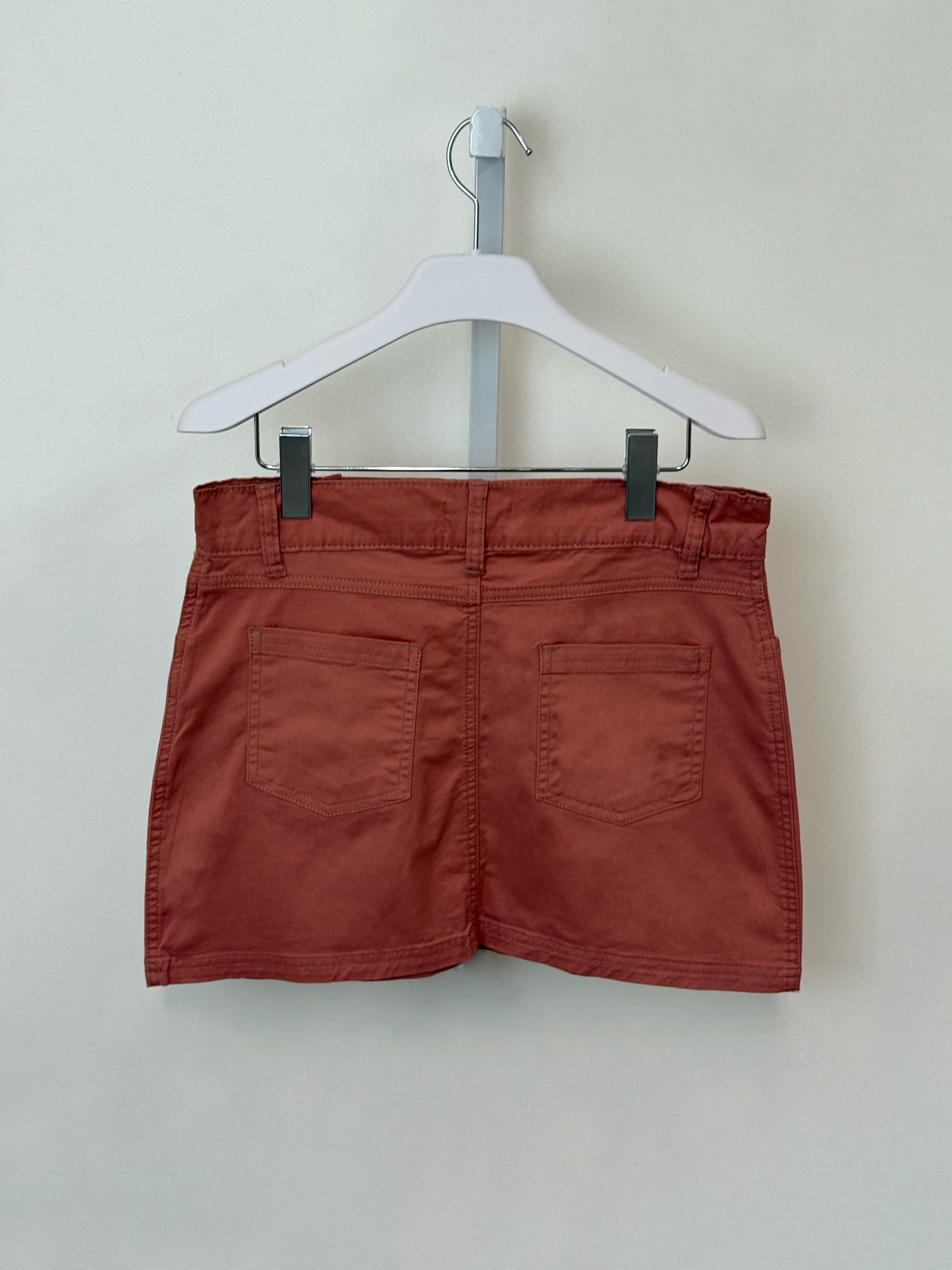 Sam Steven Skirt | Rose